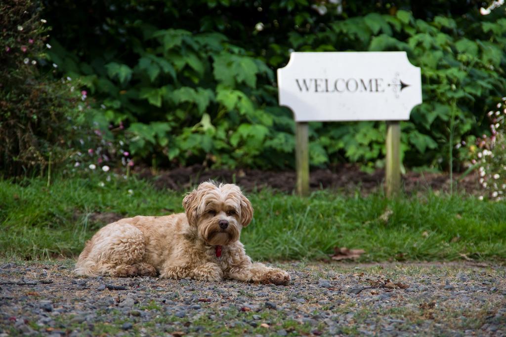 Ugbrooke Country Estate Hotel Lower Dashwood Bagian luar foto